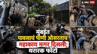Mumbai Powai Crocodile News: मुंबईत पावसाचं पाणी ओसरताच महाकाय मगर दिसली; गाडीच्या मागे लपली, पवईत रेस्क्यूचा थरार, PHOTO