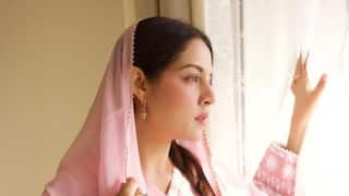 Celina Jaitly Says Marriage Cost Her Rs 20 Crore, Urges Women To Sign Prenups