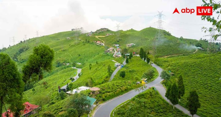 टेमी टी एस्टेट बागडोगरा से करीब 121 किलोमीटर दूर है. यह दक्षिण सिक्किम के नामची में स्थित पुराना चाय बागान है. यहां हरियाली, पहाड़ों का खूबसूरत नजारा और चाय उत्पादन को करीब से देखने का मौका मिलता है. टेमी गेस्ट हाउस में करीब 1,500 रुपये प्रति व्यक्ति में ठहरने और खाने की सुविधा मिल जाती है.