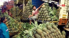 दिल्ली में इस दिन से शुरू होगा 3 दिवसीय Pineapple Festival 2026, किसानों को मिलेगा बड़ा मौका