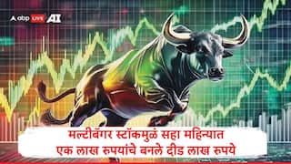 Multibagger Stock : एक लाख रुपयांच्या गुंतवणुकीचे सहा महिन्यात बनले दीड लाख रुपये, मल्टीबॅगर स्टॉकची कमाल, शेअर किती रुपयावंर पोहोचला?