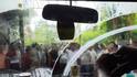 CPIM Leader Meenakshi Moves Calcutta High Court After Egg Attack On Her Car