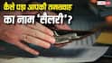 Salary Word Origin: कभी पैसों की जगह सैलरी में मिलता था 'नमक'! जानिए कैसे पड़ा आपकी तनख्वाह का नाम 'सैलरी'?