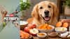 Pet First | 10 Everyday Superfoods That Can Improve Your Dog's Immunity