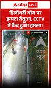 Viral News: Leopard Attacks Delivery Boy, Terrifying Moment Captured On CCTV!