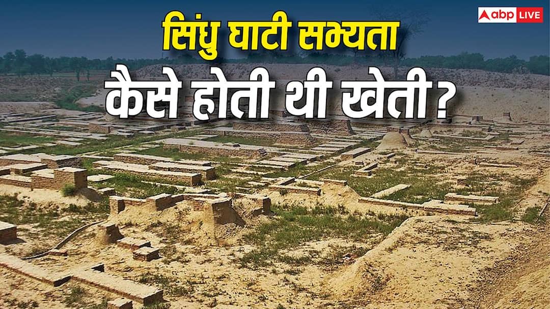 सिंधु घाटी सभ्यता के लोग कैसे करते थे खेती? खुदाई में मिले थे हैरान कर देने वाले ये सबूत सिंधु घाटी सभ्यता के लोग कैसे करते थे खेती? खुदाई में मिले थे हैरान कर देने वाले ये सबूत