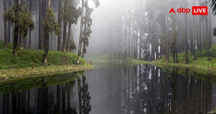 बागडोगरा से करीब 121 किलोमीटर दूर स्थित रिशप एक शांत लेपचा गांव है. यहां से कंचनजंगा का शानदार नजारा देखने को मिलता है. आसपास नीओरा वैली नेशनल पार्क, चांगे फॉल्स और झांडी दारा व्यूपॉइंट जैसी जगहें मौजूद हैं. यहां कॉटेज और होमस्टे करीब 1,500 रुपये में उपलब्ध हैं.