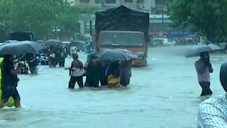 Schools Closed: સુરત, નવસારી, વલસાડ જિલ્લાના શાળા-કોલેજો આજે બંધ, હજુ પણ વરસાદનું રેડ એલર્ટ