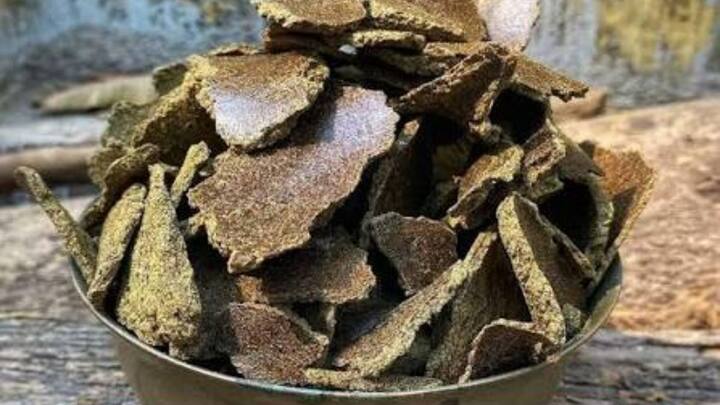 इसके अलावा आप चारे में थोड़ा सा सरसों की खल भी ऐड कर सकते हैं. सरसों की खल पशुओं के डाइजेशन को एकदम दुरुस्त रखती है. जब गाय-भैंस का पेट ठीक रहेगा और खाना अच्छे से पचेगा. तो वो खुलकर दूध देंगी और दूध की क्वालिटी भी अपने आप ही सुधर जाएगी.