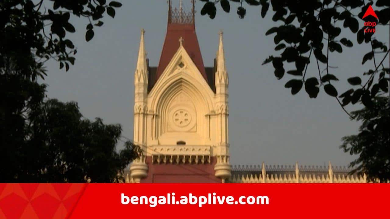 TMC News: তৃণমূলের তিনটি ব্যাঙ্ক অ্যাকাউন্ট ব্যবহার করতে পারবে 'কালীঘাটপন্থী তৃণমূল',  কী নির্দেশ আদালতের ? কোনটা "....করা যাবে না" ?