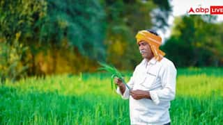 ਇਸ ਸੂਬੇ ਦੇ ਕਿਸਾਨਾਂ ਲਈ ਵੱਡਾ ਮੌਕਾ, ਦਾਲ ਮਿੱਲ ਖੋਲ੍ਹਣ 'ਤੇ ਸਰਕਾਰ ਦੇਵੇਗੀ 25 ਲੱਖ ਦੀ ਸਬਸਿਡੀ