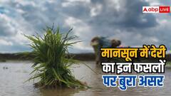मानसून की देरी से इन फसलों में किसानों को हुआ घाटा, चाय पर भी पड़ा बुरा असर
