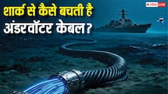 समुद्र के नीचे बिछी इंटरनेट केबल को शार्क और व्हेल से कैसे रखा जाता है सुरक्षित, कौन है इसका जिम्मेदार