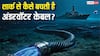 समुद्र के नीचे बिछी इंटरनेट केबल को शार्क और व्हेल से कैसे रखा जाता है सुरक्षित, कौन है इसका जिम्मेदार