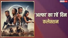 'अल्फा' की हर दिन घट रही कमाई, एक हफ्ते बाद भी 50 करोड़ का आंकड़ा नहीं छू पाई फिल्म