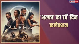 Alpha Box Office Collection Day 7: आलिया भट्ट की 'अल्फा' की हर दिन घट रही कमाई, एक हफ्ते बाद भी 50 करोड़ का आंकड़ा नहीं छू पाई, जानें- कलेक्शन