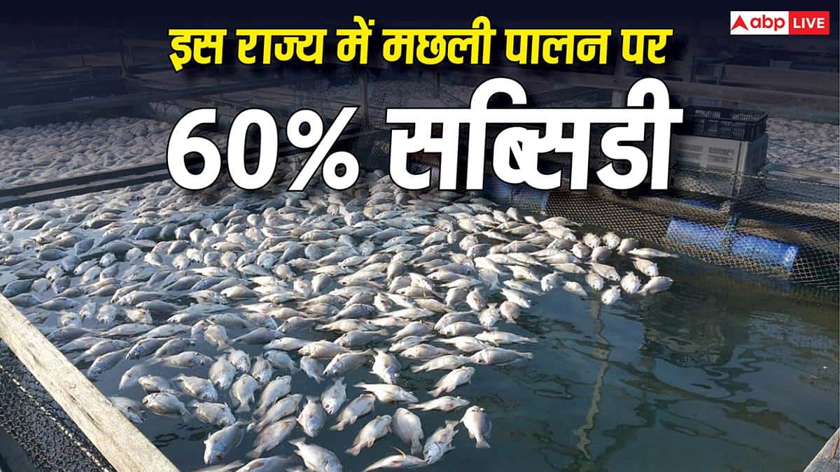 मछली पालन पर 60 प्रतिशत सब्सिडी दे रही ये राज्य सरकार, जानिए आवेदन की अंतिम तारीख