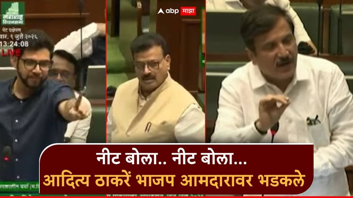 Video: नीट बोला.. नीट बोला... आदित्य ठाकरें भाजप आमदारावर भडकले, भास्कर जाधवही घमंडी म्हणाले; विधानसभेत राडा