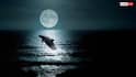 Moon Sky: ચંદ્રનું આકાશ દિવસના સમયે પણ કેમ રહે છે કાળું, જાણો શું છે તેની પાછળનું કારણ ?