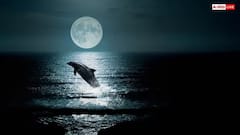 Moon Sky: ચંદ્રનું આકાશ દિવસના સમયે પણ કેમ રહે છે કાળું, જાણો શું છે તેની પાછળનું કારણ ?