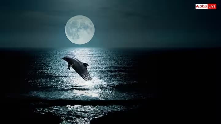 Moon Sky: પૃથ્વીથી વિપરીત જ્યાં દિવસ દરમિયાન આકાશ તેજસ્વી વાદળી દેખાય છે, ચંદ્રનો નજારો તદ્દન અલગ છે. જ્યારે સૂર્ય સીધો ઉપર ચમકતો હોય ત્યારે પણ, ચંદ્રનું આકાશ કાળું દેખાય છે. આ અનોખી ઘટના ચંદ્રને ઓછો સૂર્યપ્રકાશ મળવાને કારણે નથી, પરંતુ તેમાં એક મહત્વપૂર્ણ તત્વનો અભાવ હોવાથી થાય છે. ચાલો જાણીએ કે તે મહત્વપૂર્ણ તત્વ શું છે.