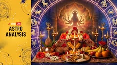 Astro Analysis | Gupt Navratri 2026: Follow These Zodiac-Based Remedies To Please The 10 Mahavidyas