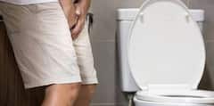 Frequent Urination : ਸਫਰ ਦੌਰਾਨ ਵਾਰ-ਵਾਰ ਟਾਇਲਟ ਨਹੀਂ ਜਾਣਾ ਪਵੇਗਾ ! ਨਿਕਲਣ ਤੋਂ ਪਹਿਲਾਂ ਬੱਸ ਕਰ ਲਓ ਇਹ 5 ਆਸਾਨ ਕੰਮ