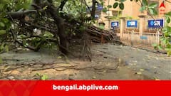 সকাল থেকে টানা বৃষ্টি, স্ট্র্যান্ড রোডে ভেঙে পড়ল গাছ, চলাচল ব্যহত এই অংশে