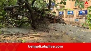 Kolkata News: সকাল থেকে টানা বৃষ্টি, স্ট্র্যান্ড রোডে ভেঙে পড়ল গাছ, চলাচল ব্যহত এই অংশে