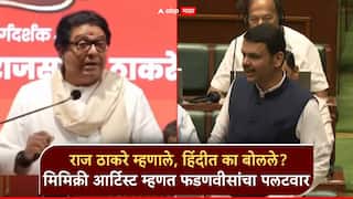 Video: मिसिंग लिंकवरुन राज ठाकरे म्हणाले, मुख्यमंत्री हिंदीत का बोलले? मिमिक्री आर्टिस्ट म्हणत फडणवीसांचा पलटवार
