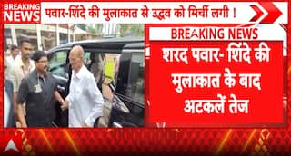 Maharashtra Politics: Sharad Pawar-Eknath Shinde Meeting Sparks Alliance Speculations