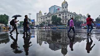 Mumbai Reports Surge In Leptospirosis Cases; Understanding The Symptoms And How To Stay Protected
