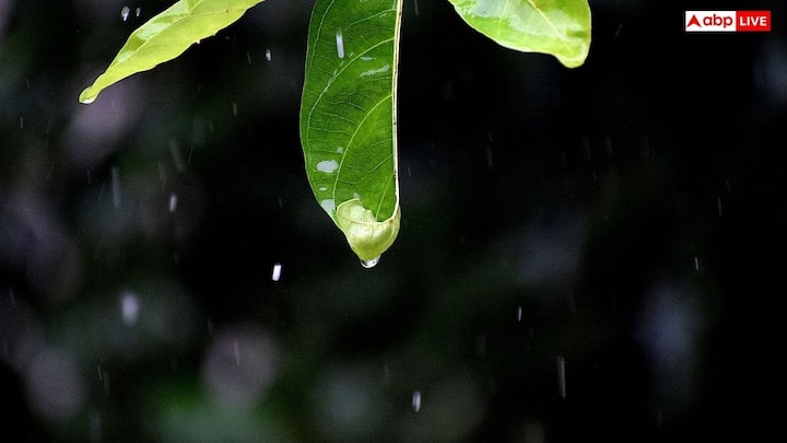बारिश की बूंद का जाना पहचाना आकार तब बनता है जब वह हवा में गिर रही होती हैं. तब नहीं जब वे पृथ्वी की सतह पर गिर चुकी होती हैं.