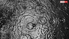 Rain Bubbles: बारिश के पानी से बन रहे बुलबुले, क्या इससे सच में ज्यादा गिरता है पानी; क्या है इसका साइंस?