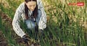 Long Term Profitable Crops : इन फसलों से होगा लॉन्ग टर्म मुनाफा, एक बार लगाइए लंबे समय तक होगी कमाई