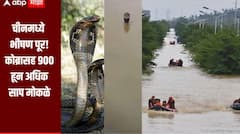 चीनमध्ये धरण फुटलं, पुराच्या पाण्यात वाहून गेलं साप पालन केंद्र, कोब्रासह 900 हून अधिक साप मोकळे, नागरिकांमध्ये भीतीचं वातावरण