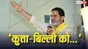 Bankipur By-Election: बांकीपुर में BJP को क्यों हराना चाहिए? प्रशांत किशोर ने बताए ये 3 बड़े कारण