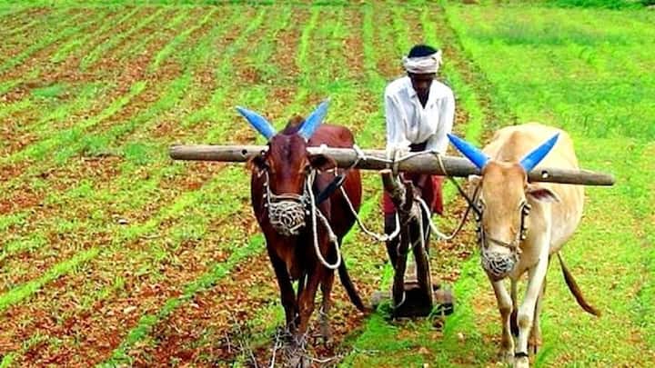 अगर आप भी इस सीजन में पानी की कमी और बिजली के बिल से बचना चाहते हैं तो इन पांच चीजों को ट्राई जरूर कर सकते हैं. खेती में कुछ हटकर करना न सिर्फ आपकी जेब को भारी रखेगा बल्कि पर्यावरण के लिए भी अच्छा रहेगा.