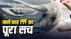 कार पर PPF लगवाना हर किसी के लिए सही नहीं, पहले जान लें पूरा सच