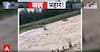 Monsoon Fury: Heavy Rains Trigger Floods and Destruction Across North India