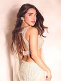 Roshni Walia : చీర కట్టులో బాలీవుడ్ బ్యూటీ - ట్రెడిషనల్ క్యూట్ లుక్‌లోనే అందాలు ఆరబోత