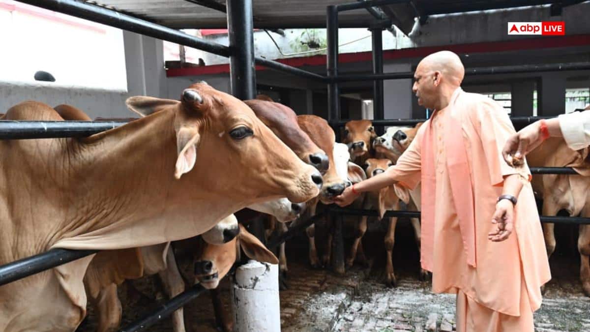 सीएम योगी ने की गोसेवा