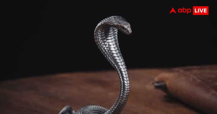 If you are going to a remote or an area where poisonous snakes are found, then definitely inform yourself about the nearest hospital or health center. Also, it is considered better to take such travel insurance, which includes the facility of medical emergency and emergency evacuation if needed. Traveling to beautiful places can be done safely by having correct information, caution and following local rules.