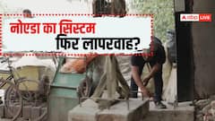 नोएडा: खुले नाले में गिरकर युवक की मौत, फिर कटघरे में प्राधिकरण; पहले भी हो चुका है हादसा