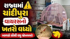 Chandipura Virus : રાજ્યમાં ચાંદીપુરા વાયરસનો કહેર, 5 માસૂમે ગુમાવી જિંદગી, મહેસાણામાં વધુ એક નોંધાયો કેસ