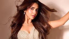 Roshni Walia : చీర కట్టులో బాలీవుడ్ బ్యూటీ - ట్రెడిషనల్ క్యూట్ లుక్‌లోనే అందాలు ఆరబోత