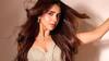 Roshni Walia : చీర కట్టులో బాలీవుడ్ బ్యూటీ - ట్రెడిషనల్ క్యూట్ లుక్లోనే అందాలు ఆరబోత