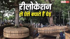 यहां विकास के नाम पर नहीं काटे जाते हैं पेड़, जानें कैसे काम करती है रीलोकेशन तकनीक