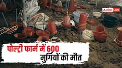 महाराष्ट्र: रायगढ़ में बारिश ने मचाई भारी तबाही, पोल्ट्री फार्म में भरा पानी; 600 मुर्गियों की मौत