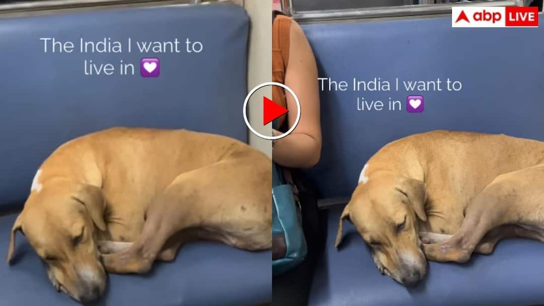 मुंबई लोकल ट्रेन का यह वीडियो आपका दिन बना देगा, सीट पर सो रहे डॉगी पर पैसेंजर्स ने जमकर लुटाया मुंबई लोकल ट्रेन का यह वीडियो आपका दिन बना देगा, सीट पर सो रहे डॉगी पर पैसेंजर्स ने जमकर लुटाया